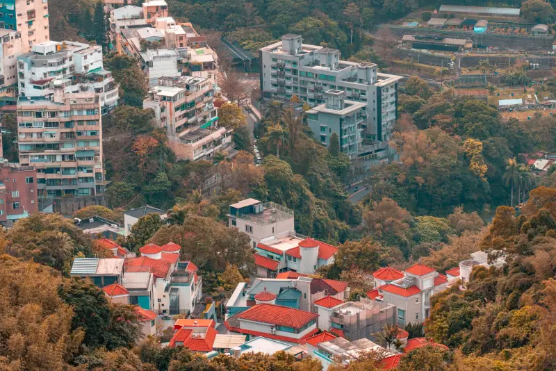 山东省中医药产业政策解读与健康产品研发合规要点分析