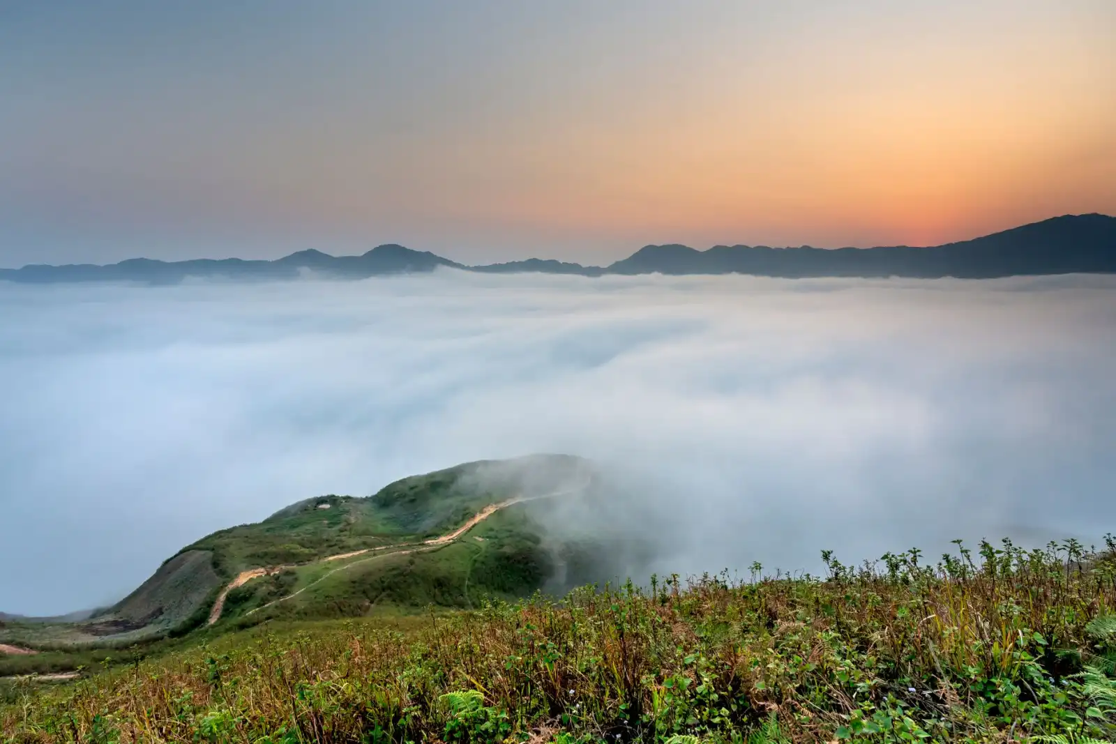 2025年山东省中医药产业政策导向与企业发展机遇