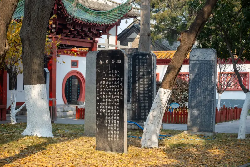 中医药科技创新趋势下，山东健康产品研发的实践与思考