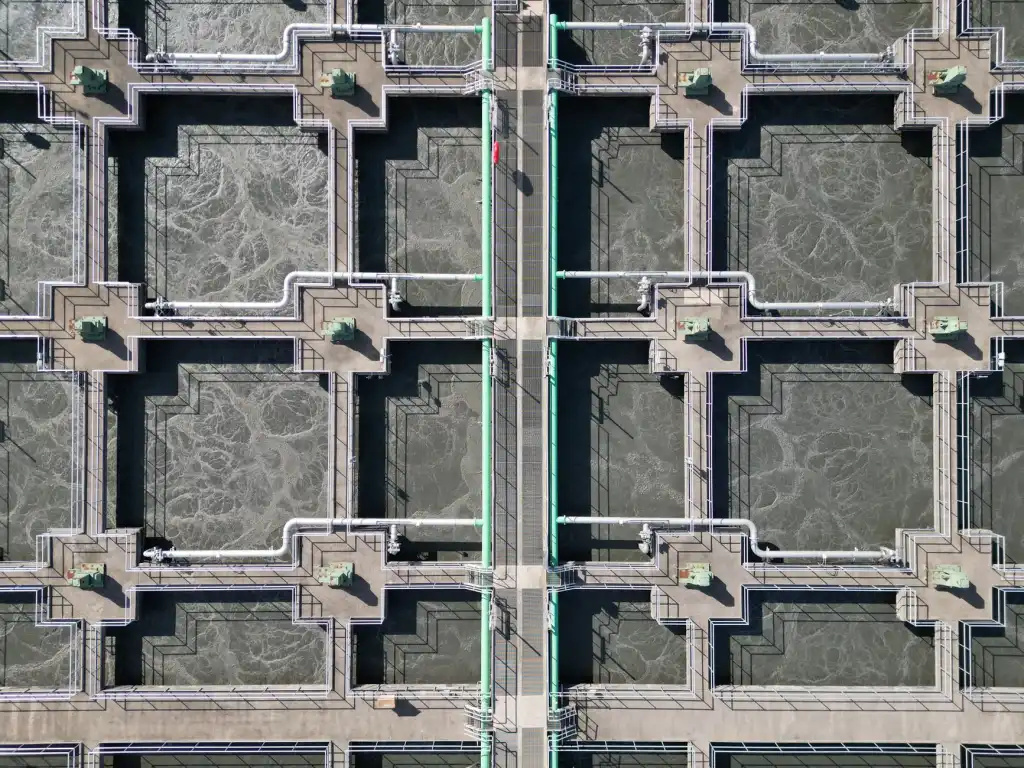 中医药科技传承创新在疾病预防中的应用路径