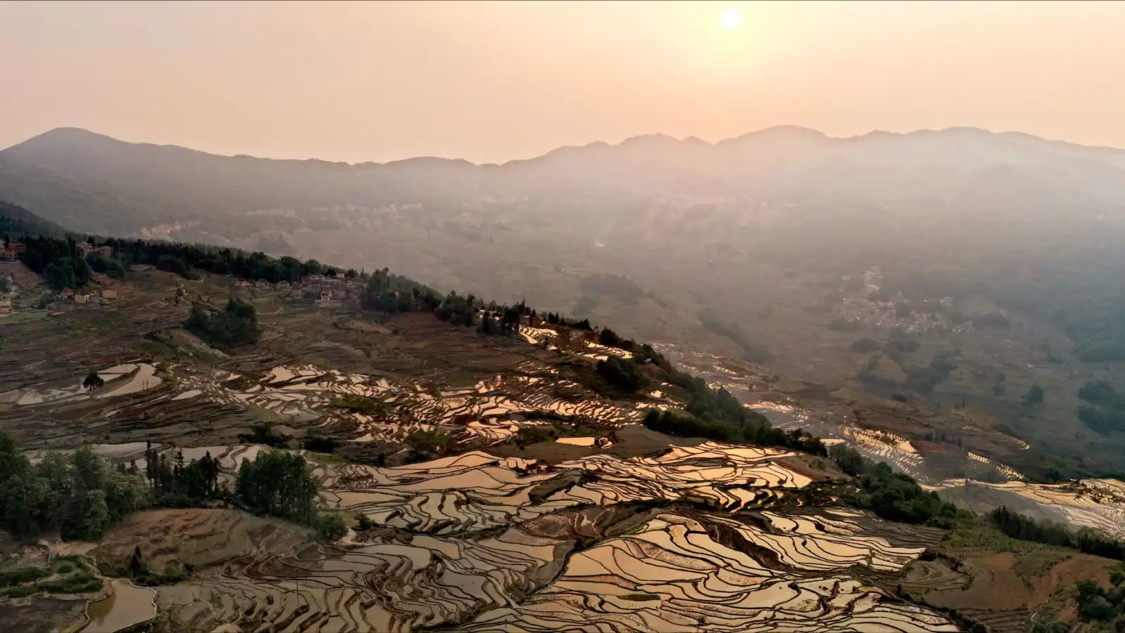 2025年山东中医药产业政策解读与健康产品合规要点