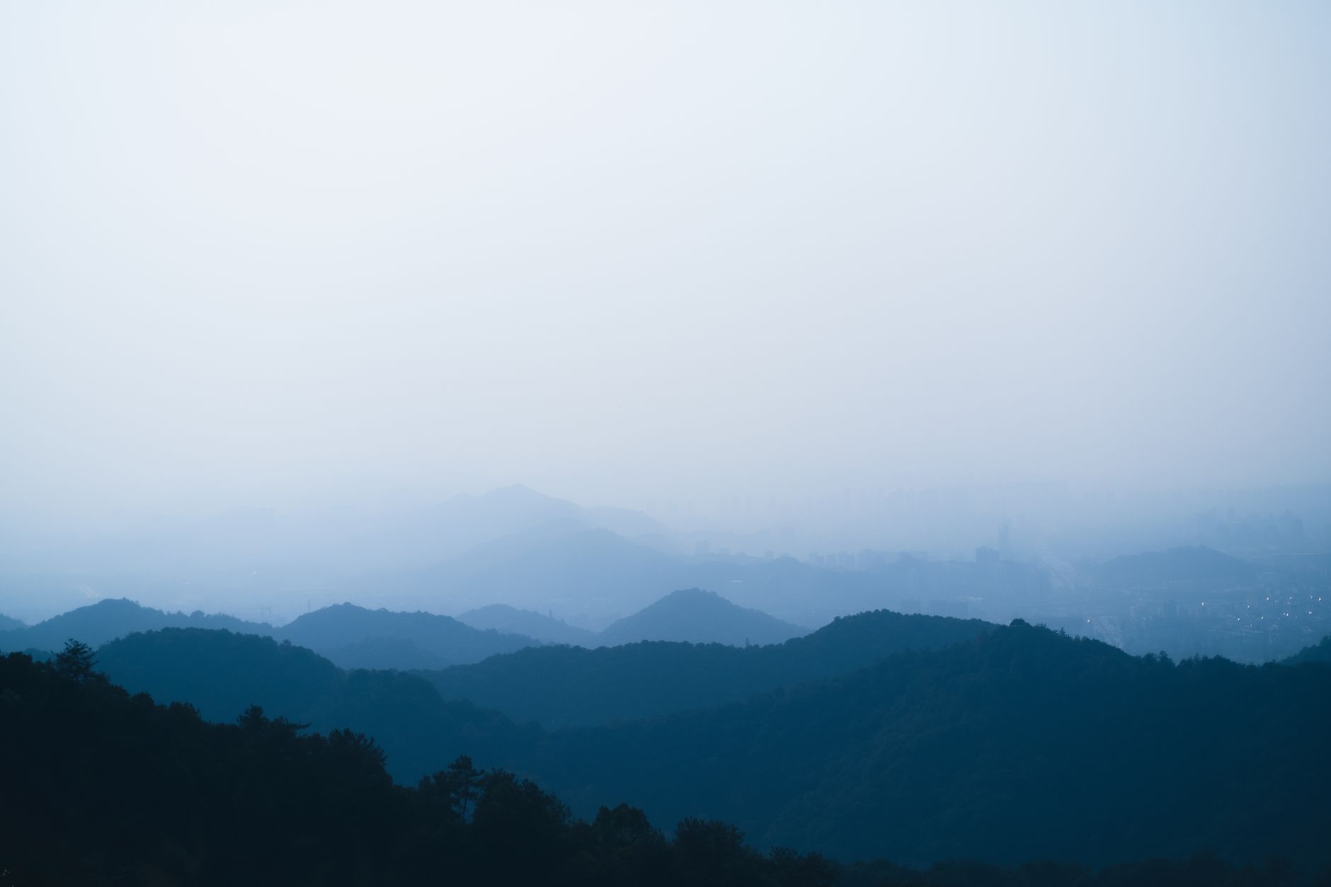 中医药健康产品研发趋势:从传统方剂到现代产业转化的关键路径