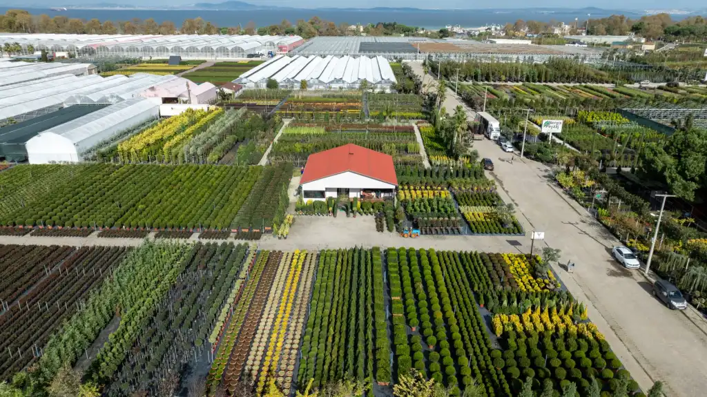 山东中医药健康产品研发服务模式解析：从传承验方到标准化生产