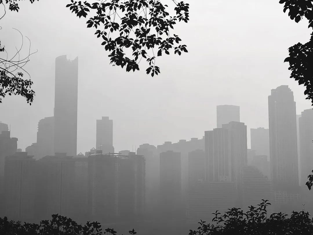 中医药健康产品研发流程与技术标准全解析