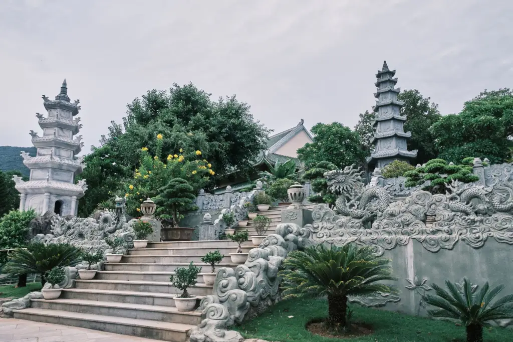 中药饮片与中成药产品型号参数对比分析指南